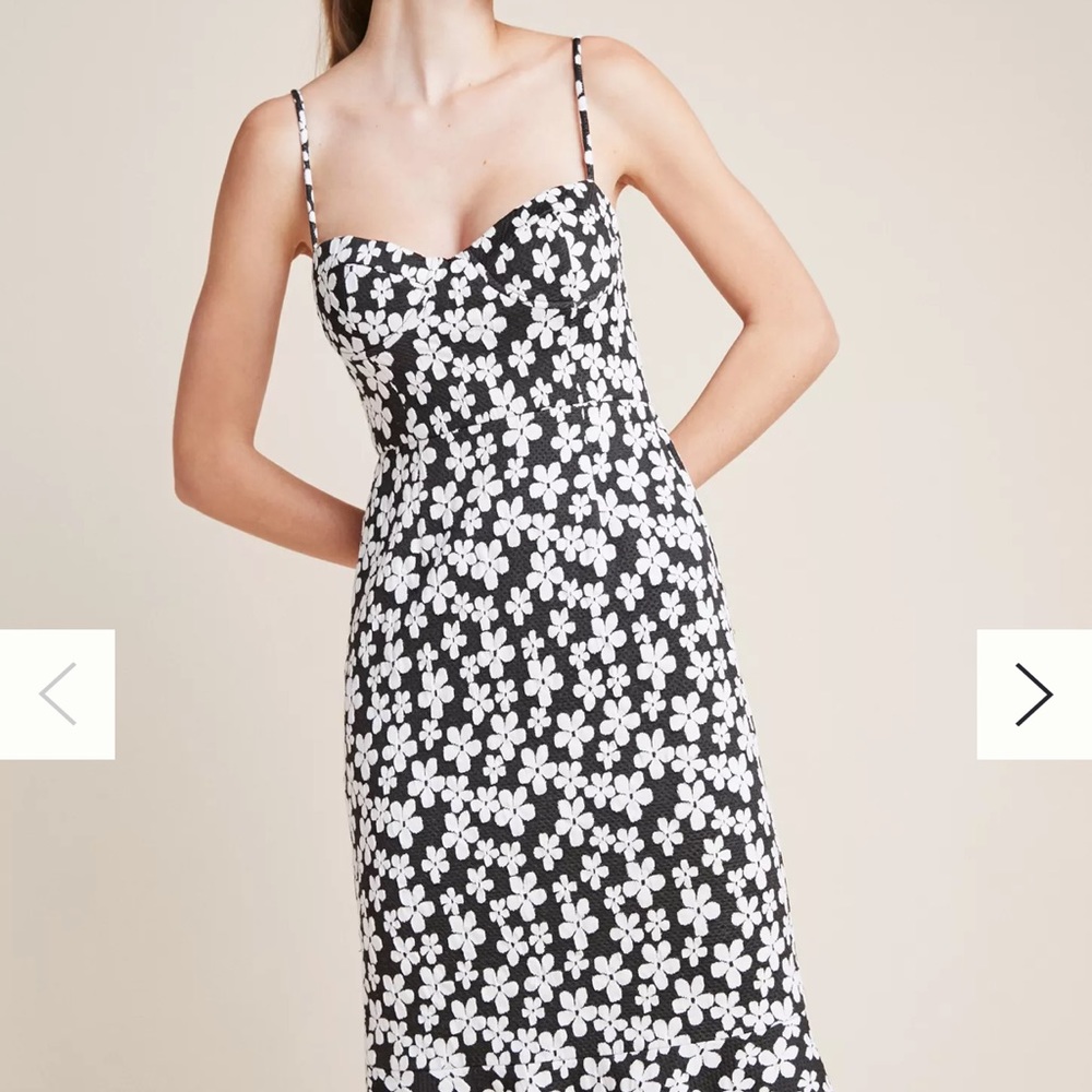 Anthropologie Daisy dress - size 2P - Hutch